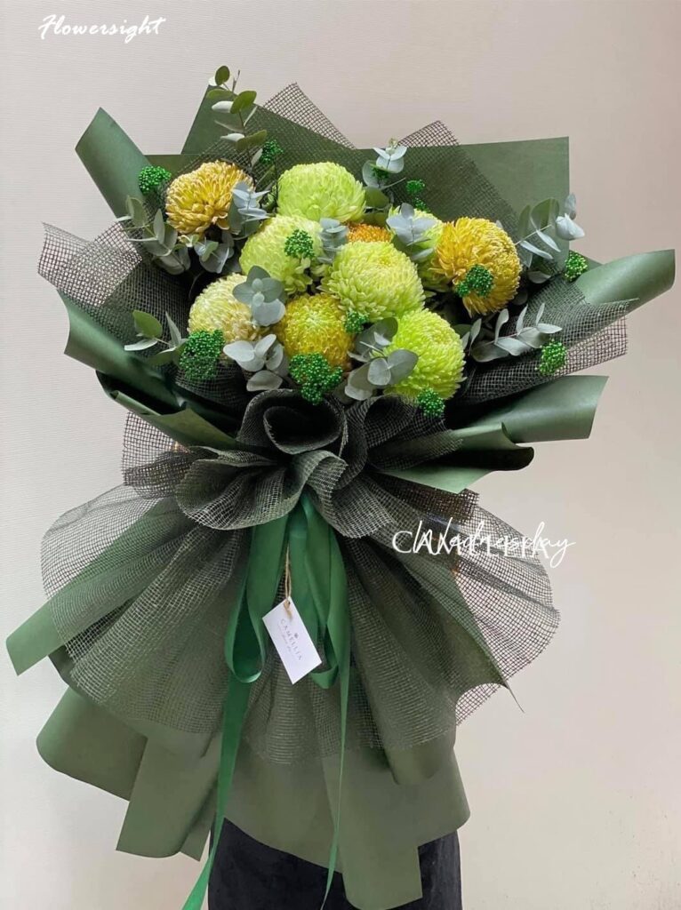 Cúc mẫu đơn xanh nhu mì