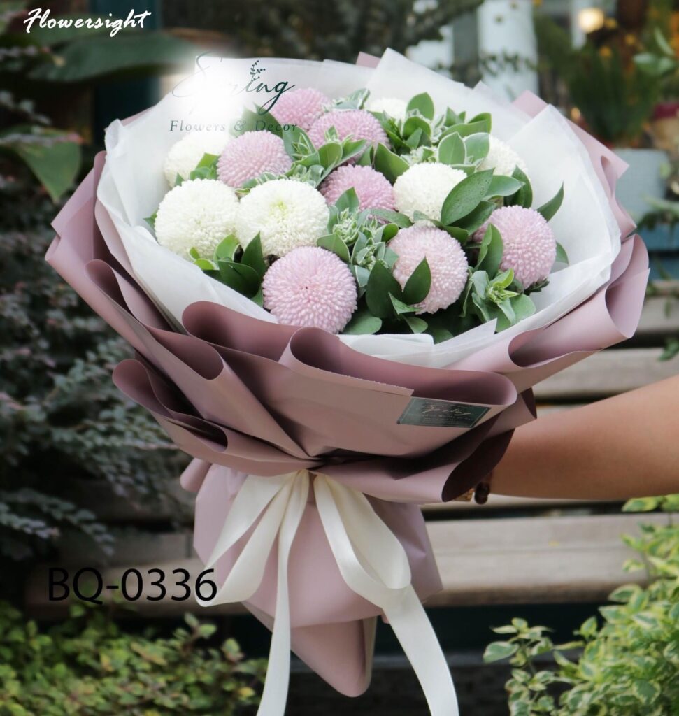 Cúc ping pong trắng với ý nghĩa ca ngợi thanh xuân