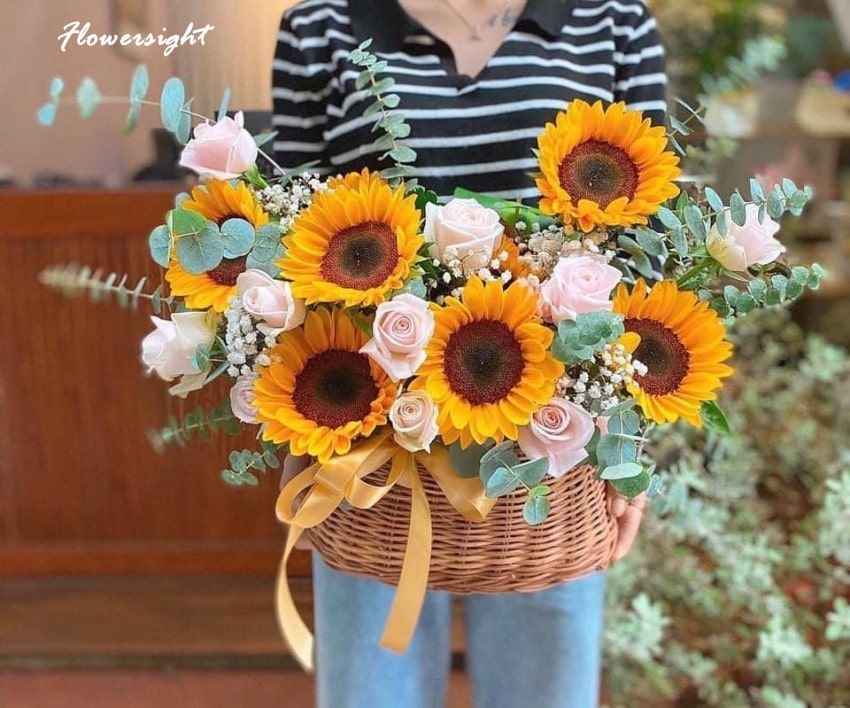 FlowerSight chuyên cung cấp bó hoa hướng dương 6 bông