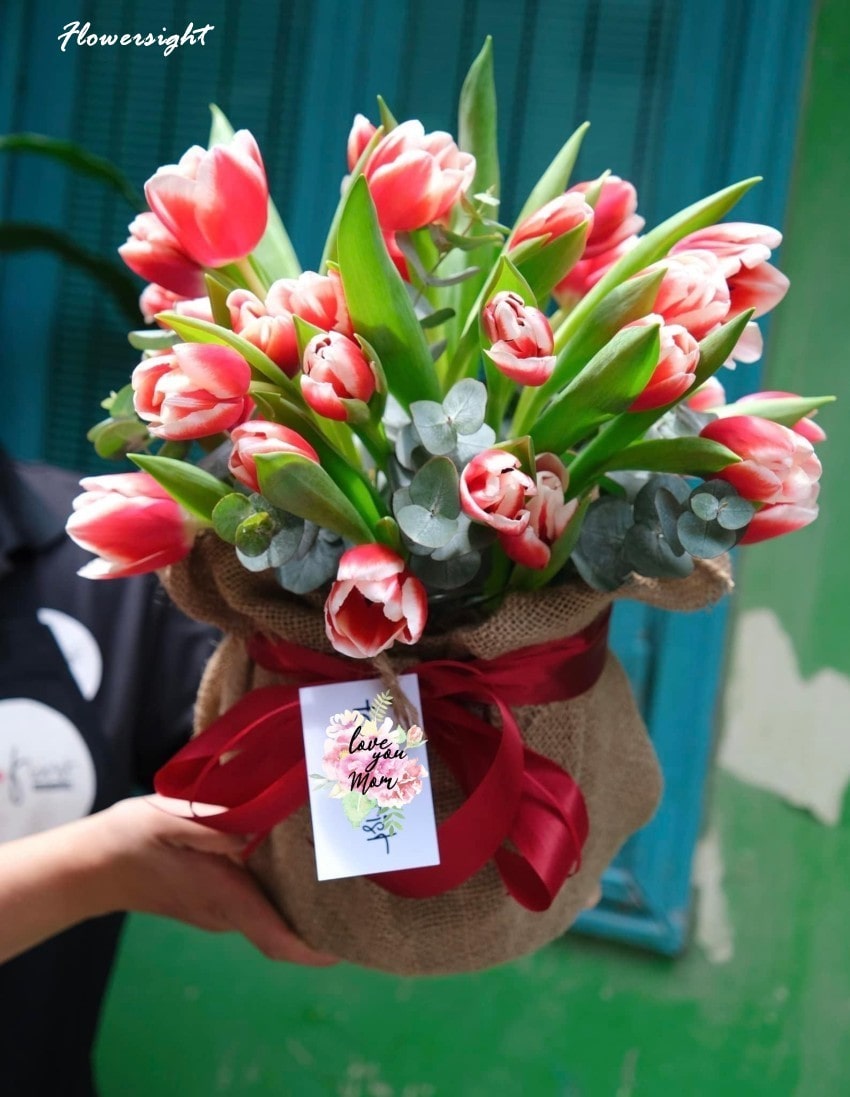 FlowerSight - tiệm hoa tươi dành cho bạn