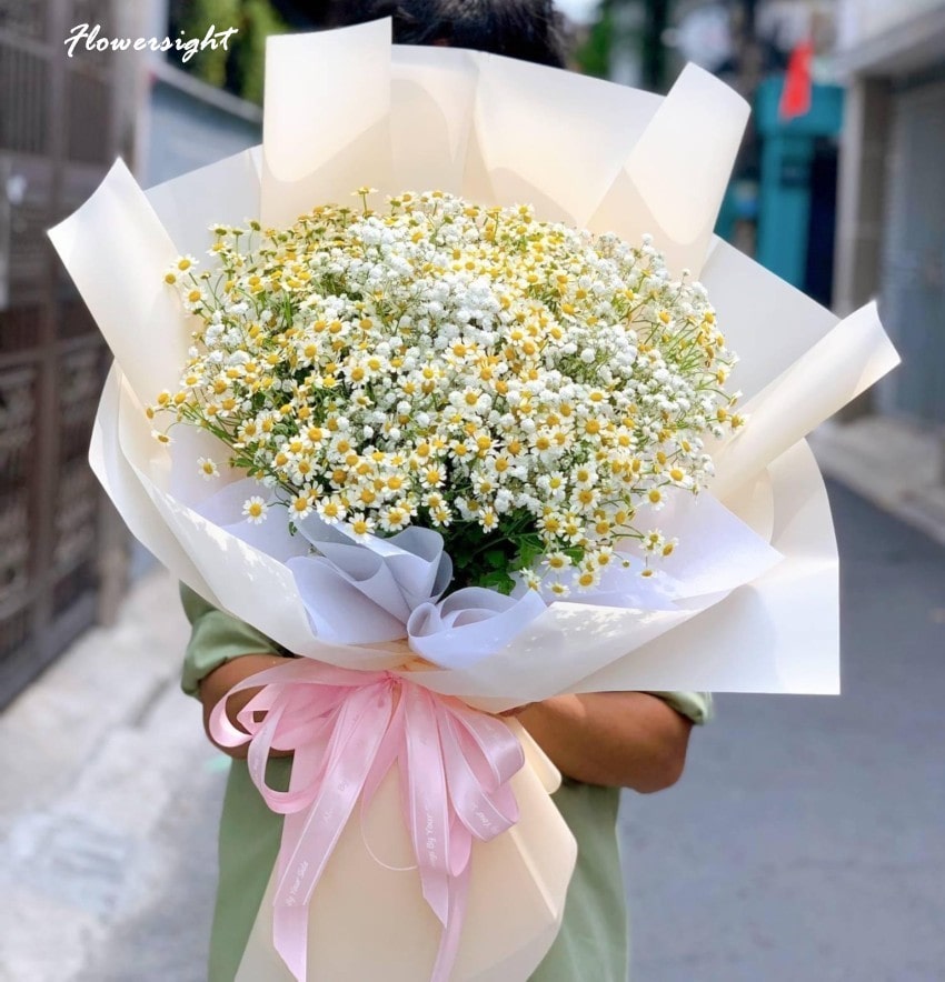 FlowerSight -Địa chỉ cung cấp hoa cúc tana uy tín