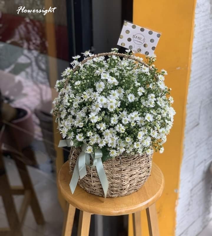 Gợi ý những mẫu thạch thảo nhẹ nhàng nhưng cũng đầy hấp dẫn