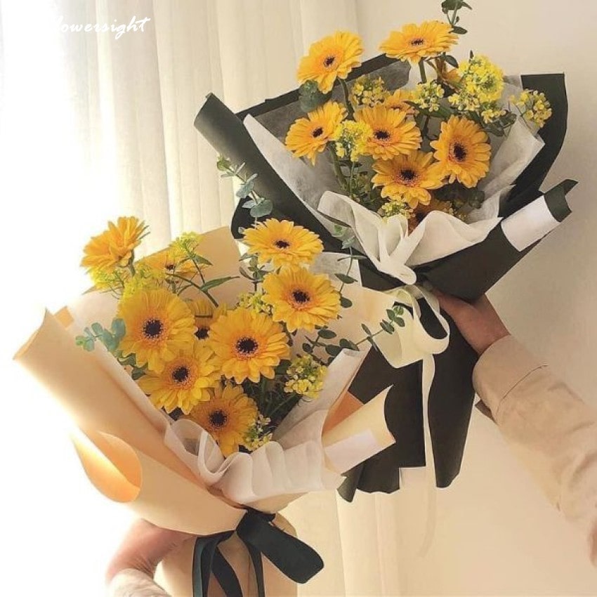 Hoa Đồng tiền như một lời chúc may mắn dành tặng người thân, bạn bè, đồng nghiệp