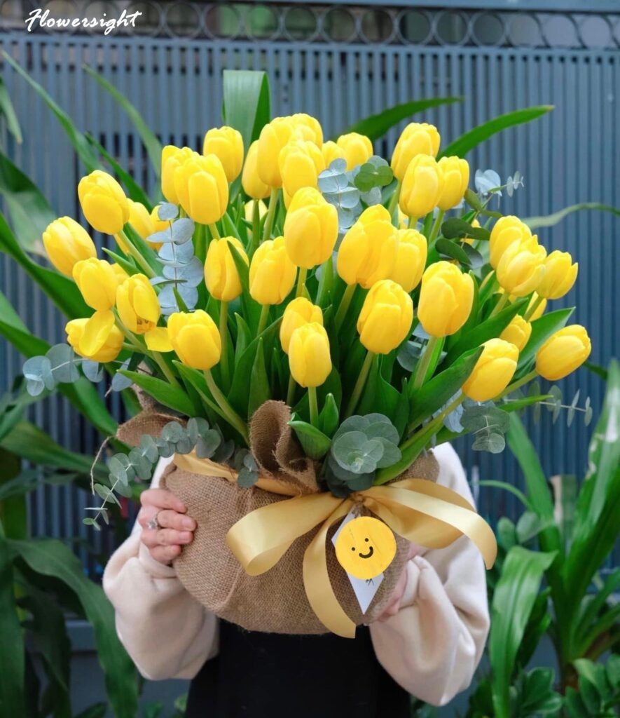 Hoa Tulip - là loài hoa tượng trưng cho sức sống mãnh liệt