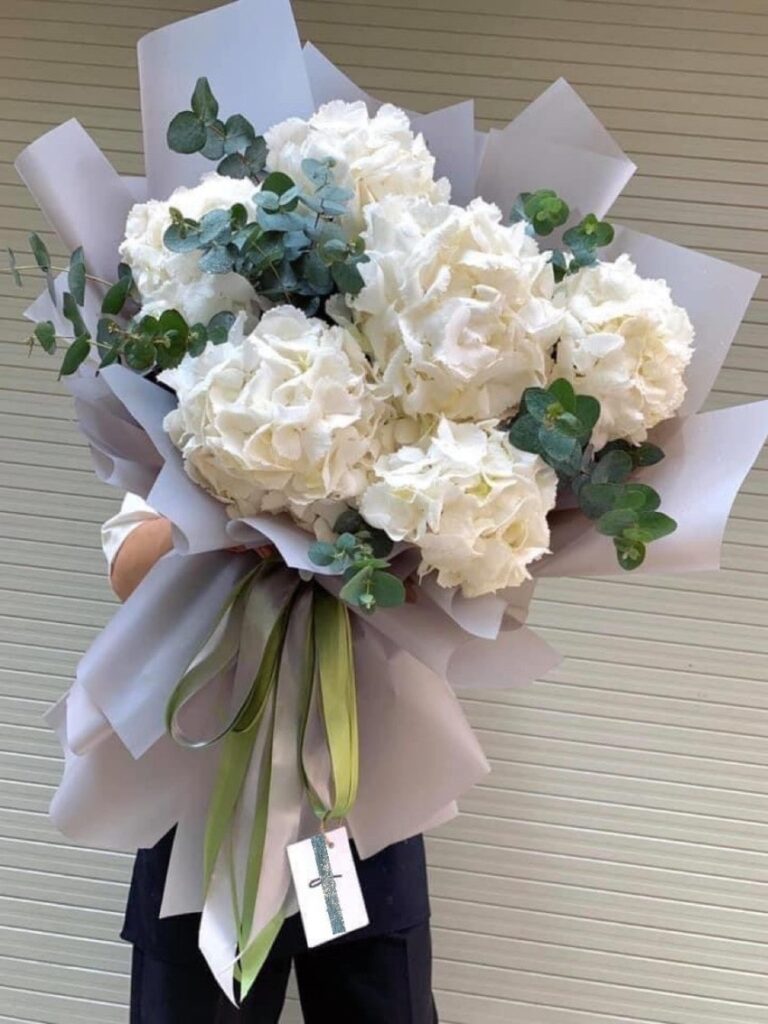 Hoa cẩm tú cầu trắng tượng trưng cho sự thay đổi trong tình yêu