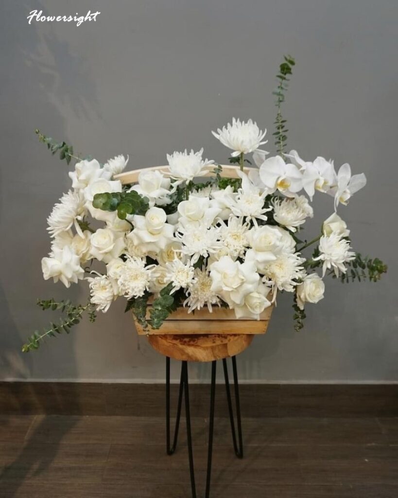 Hoa cúc trắng - Biểu tượng của sự thanh cao