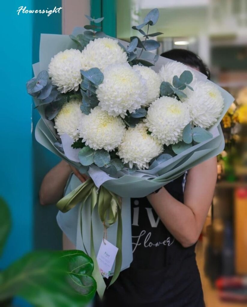 Hoa cúc trắng - Tấm lòng thuần khiết, thủy chung