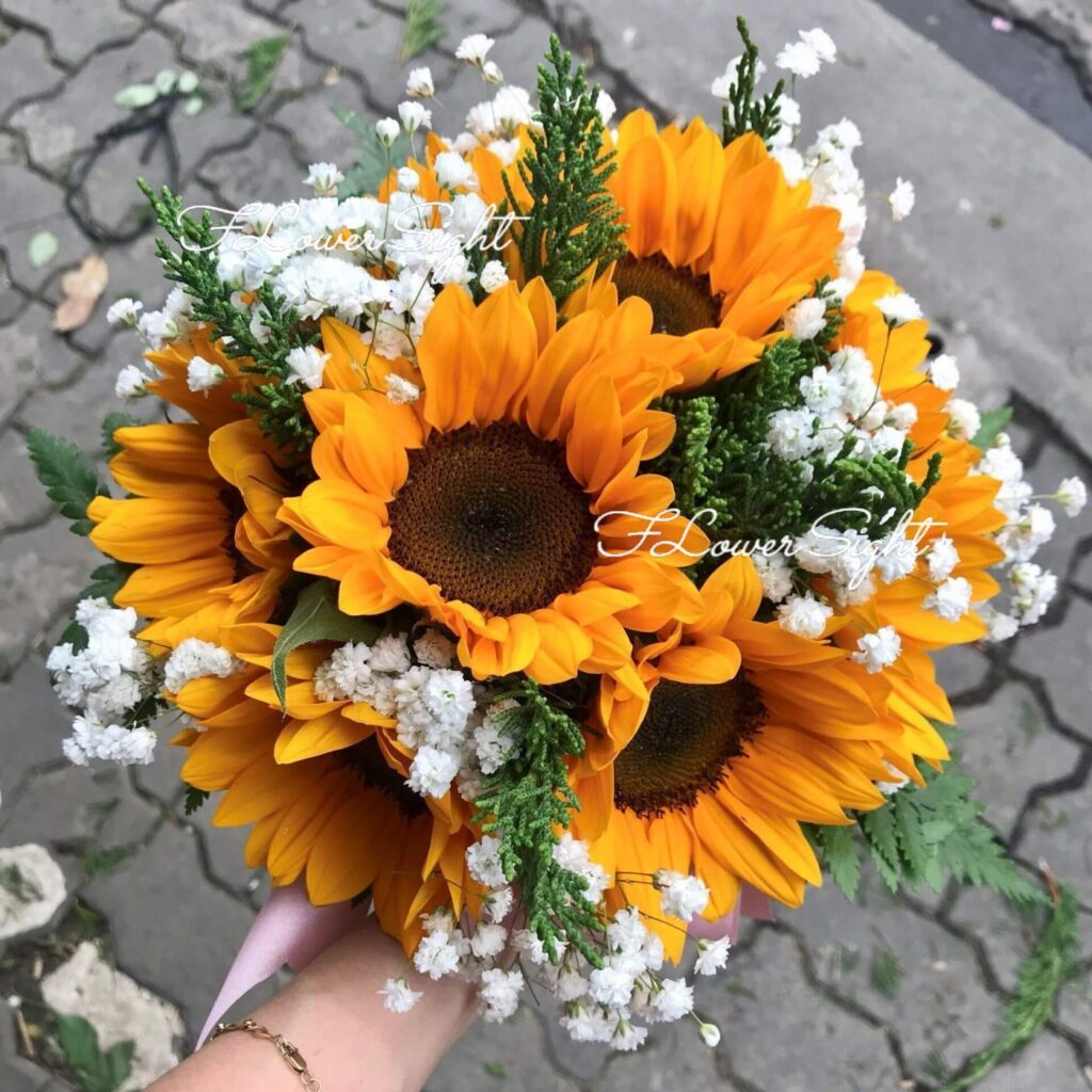 Hoa cưới hướng dương