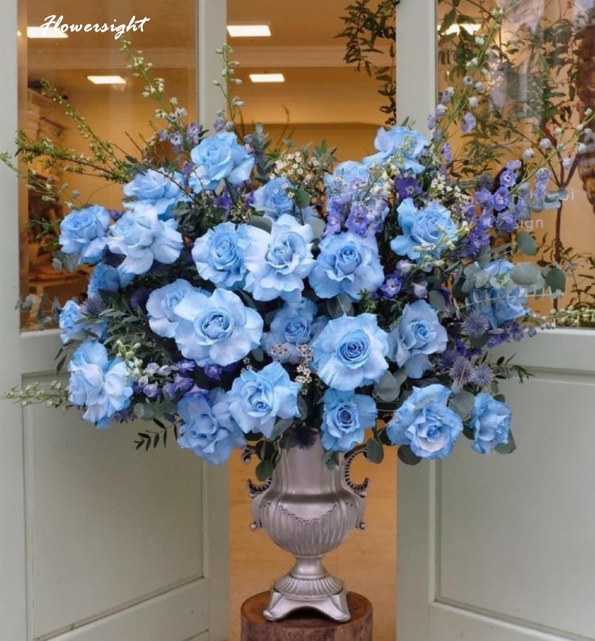 Hoa hồng không chỉ đại diện cho tình yêu nam nữ mà chúng còn có thông điệp yêu thương gia đình