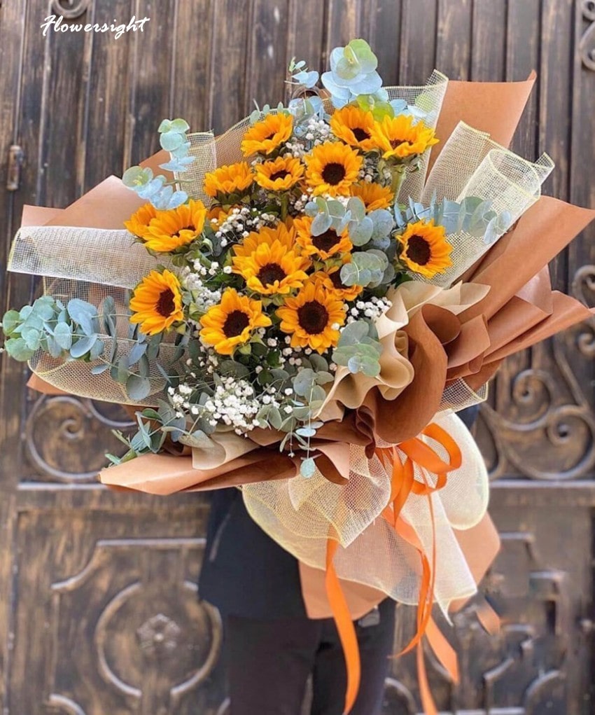 Hoa hướng dương hướng về mặt trời với hy vọng về tương lai tươi sáng