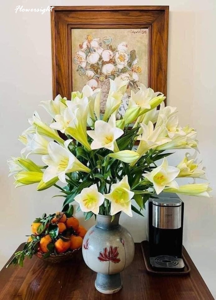 Ý nghĩa hoa ly trắng trong đời sống