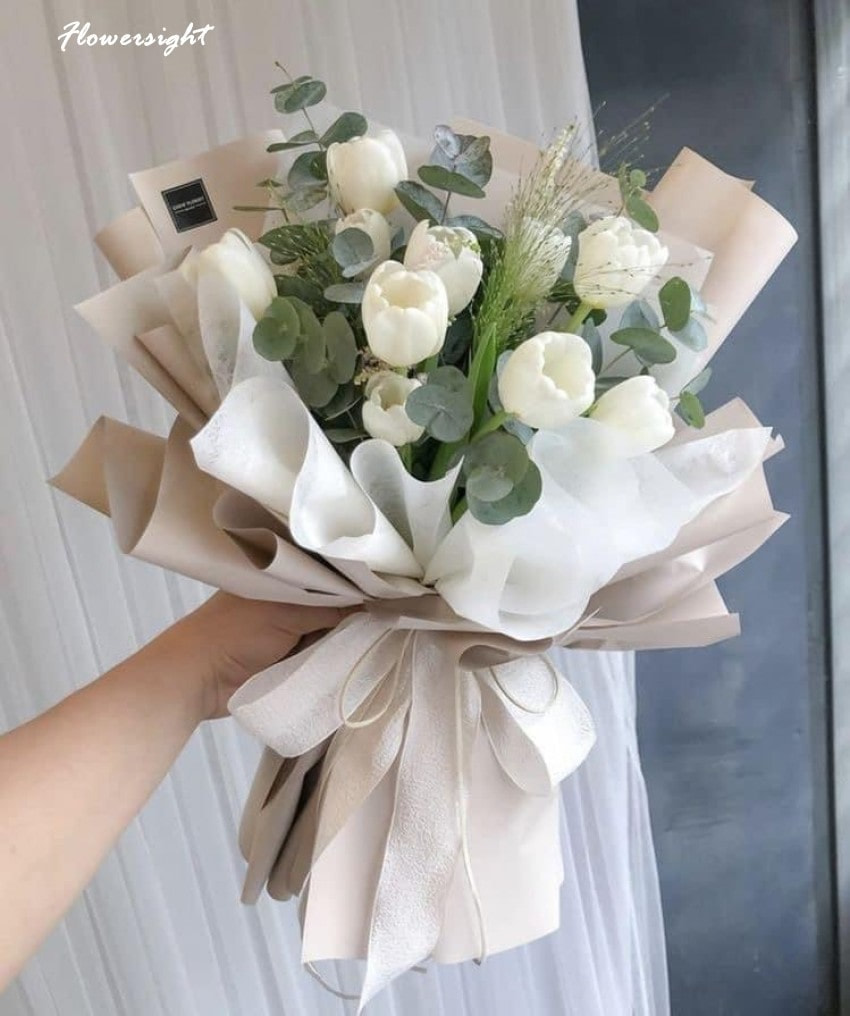 Hoa tulip trắng là loài hoa tượng trưng cho sự bất hạnh