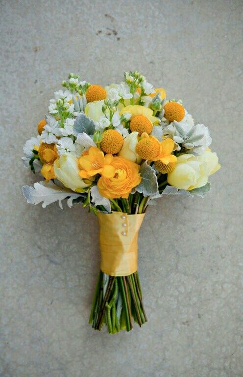 Hoa tulip vàng tượng trưng cho tình bạn đẹp