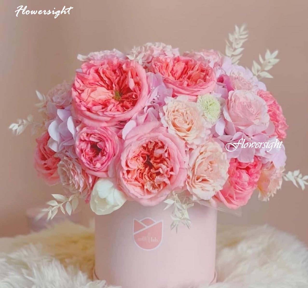 Hộp hoa (Box Flower)