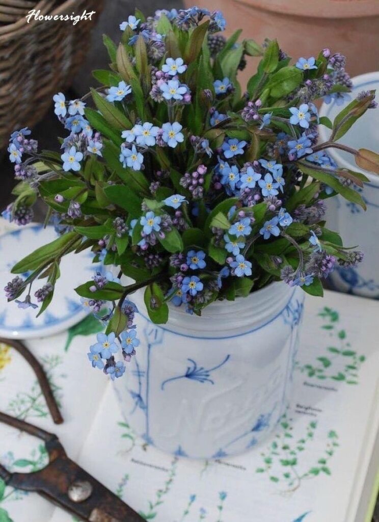 Lẵng hoa lưu ly màu tím tặng sinh nhật tinh tế