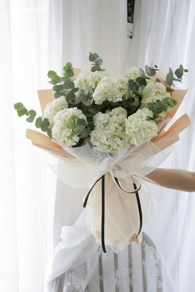 Hoa cẩm tú cầu màu trắng