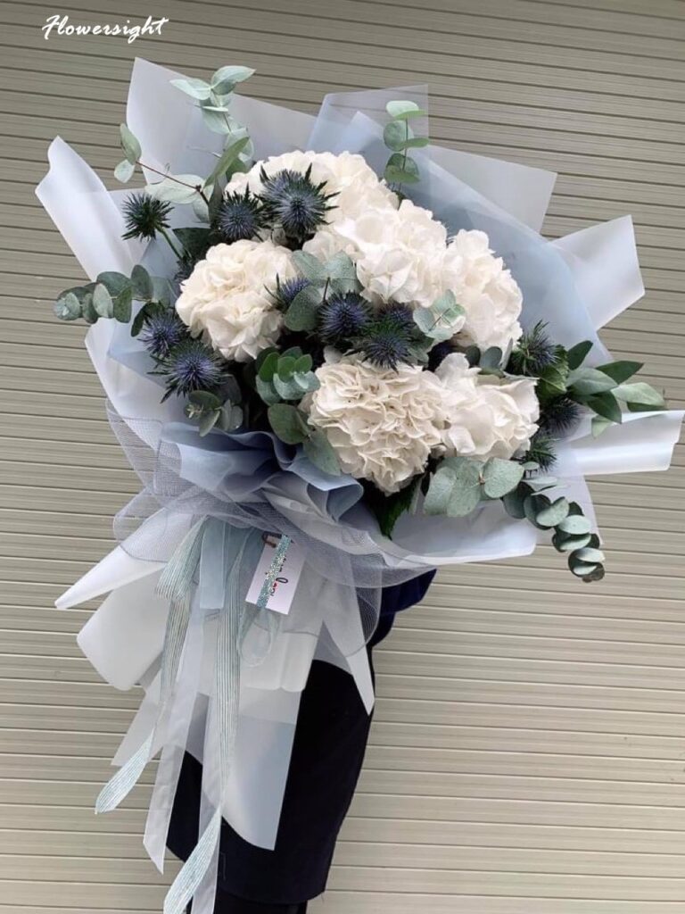 Mẫu bó hoa cẩm tú cầu trắng đẹp