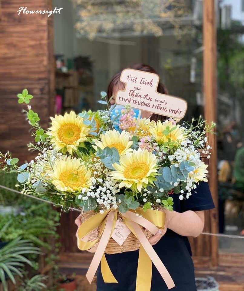 hoa hương dương khai trương