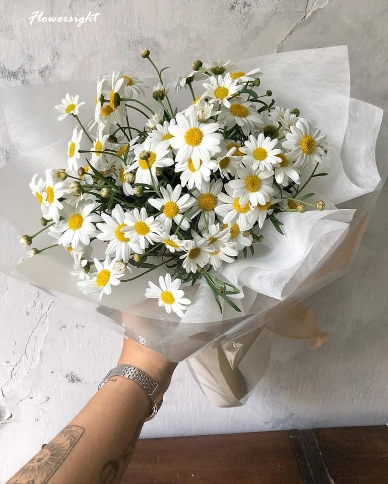 Thiết kế bó hoa cúc họa mi nhỏ xinh