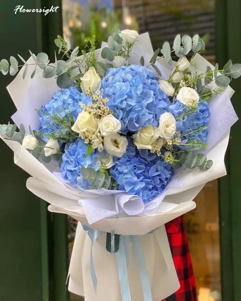 Sự kết hợp nhân đôi của cẩm tú cầu và cẩm chướng - hai loài hoa tượng trưng cho hạnh phúc