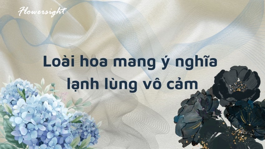 Tên loài hoa mang ý nghĩa lạnh lùng vô cảm