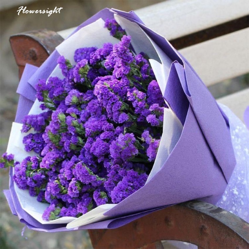 Tên tiếng Anh của những loài hoa độc đáo