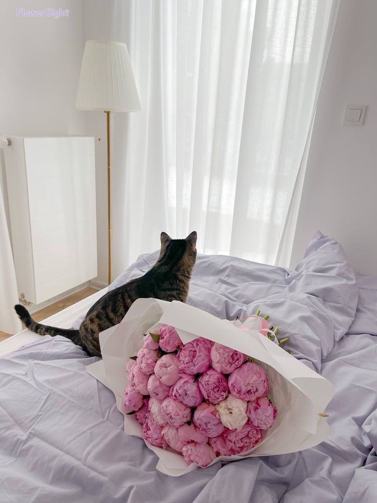 Hoa mẫu đơn tặng nàng