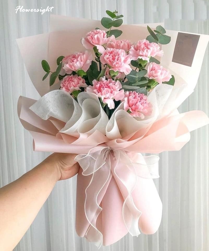 Bó hoa cẩm chướng hồng