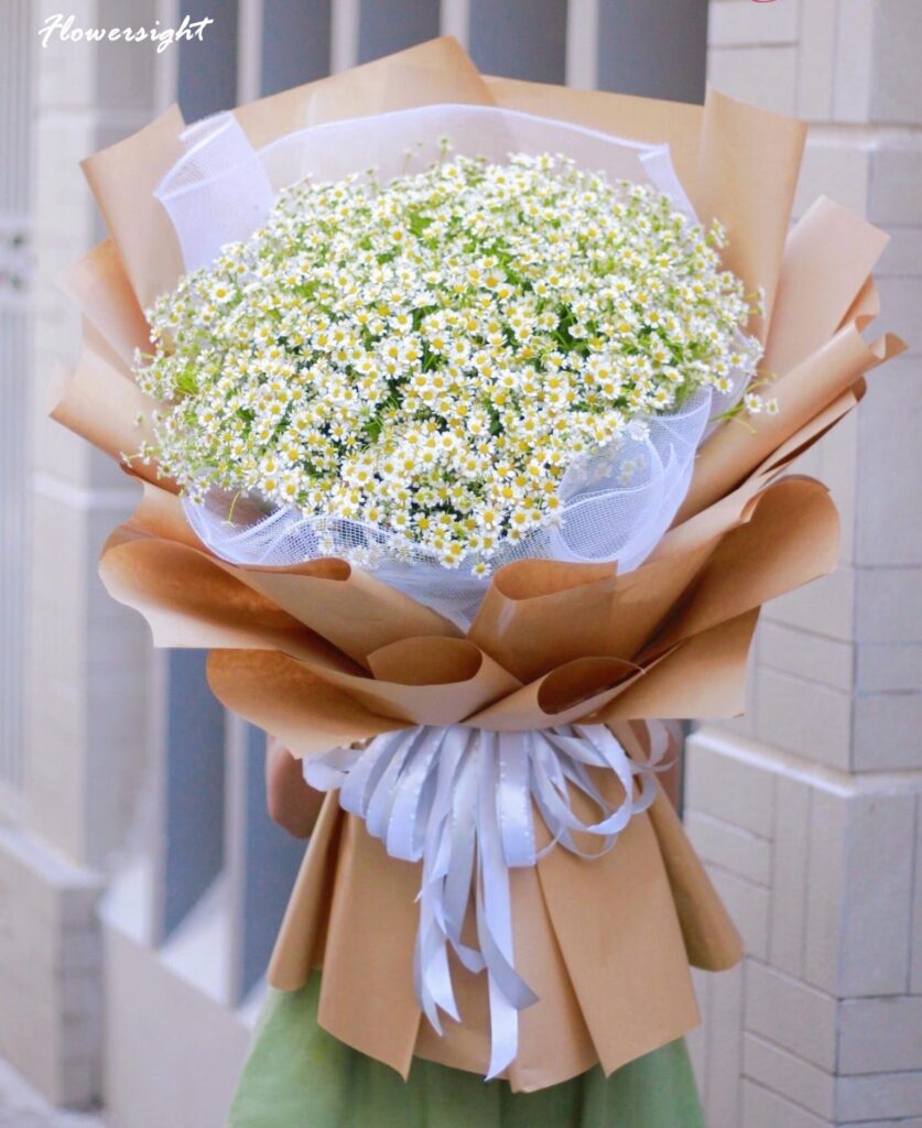 Bó hoa cúc tana đẹp