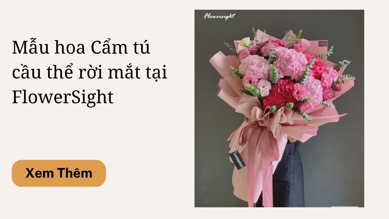 Bó hoa cẩm tú cầu