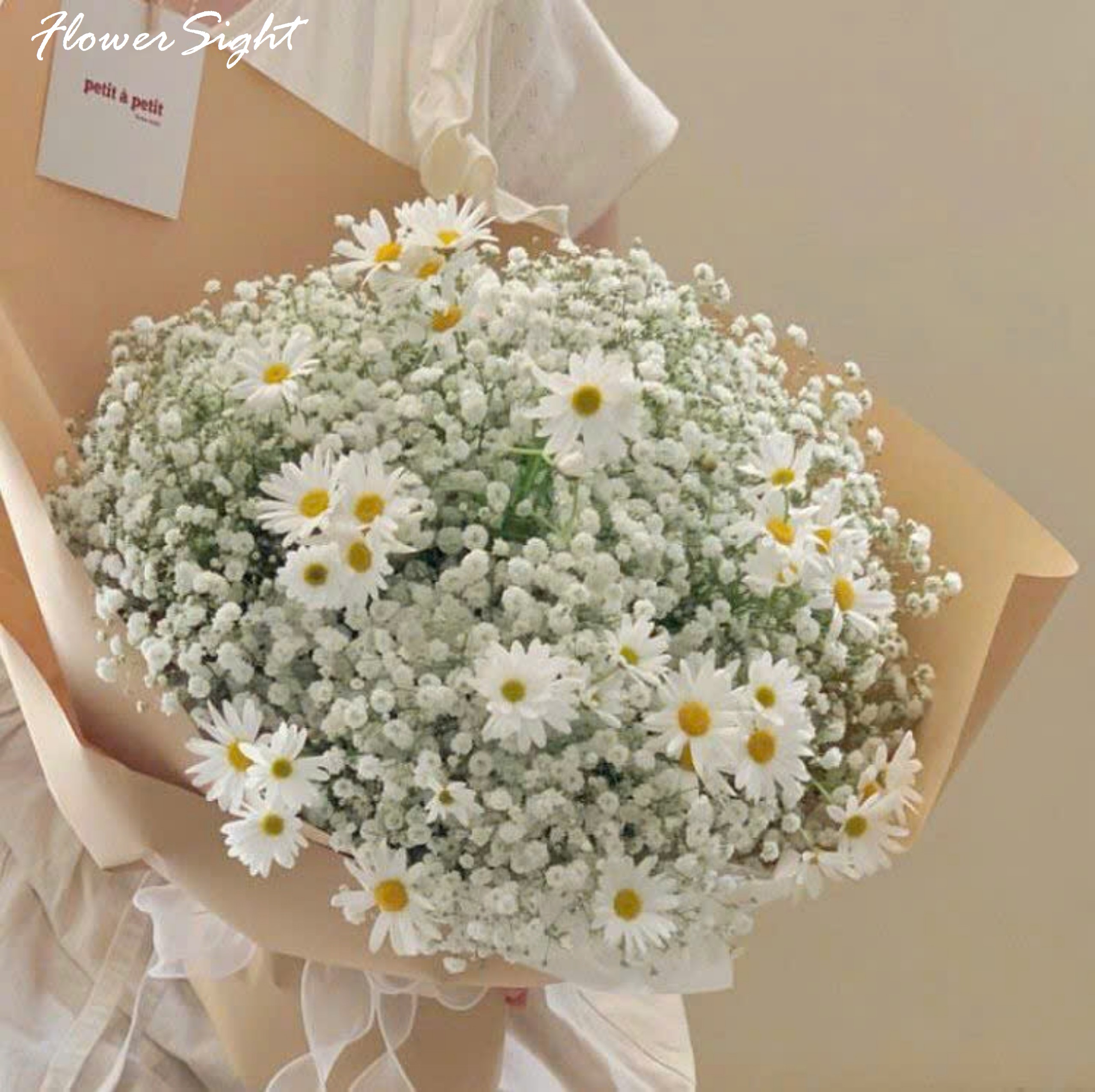 Bó hoa cúc dại tặng người yêu