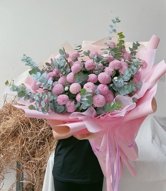 Cúc pingpong- Vẻ đẹp rực rỡ cùng ý nghĩa đặc biệt