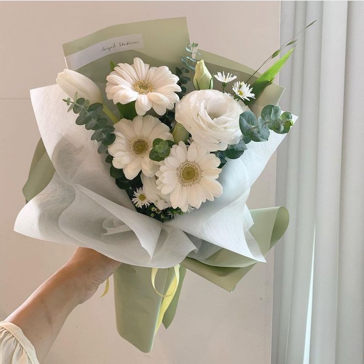 ý nghĩa hoa đồng tiền