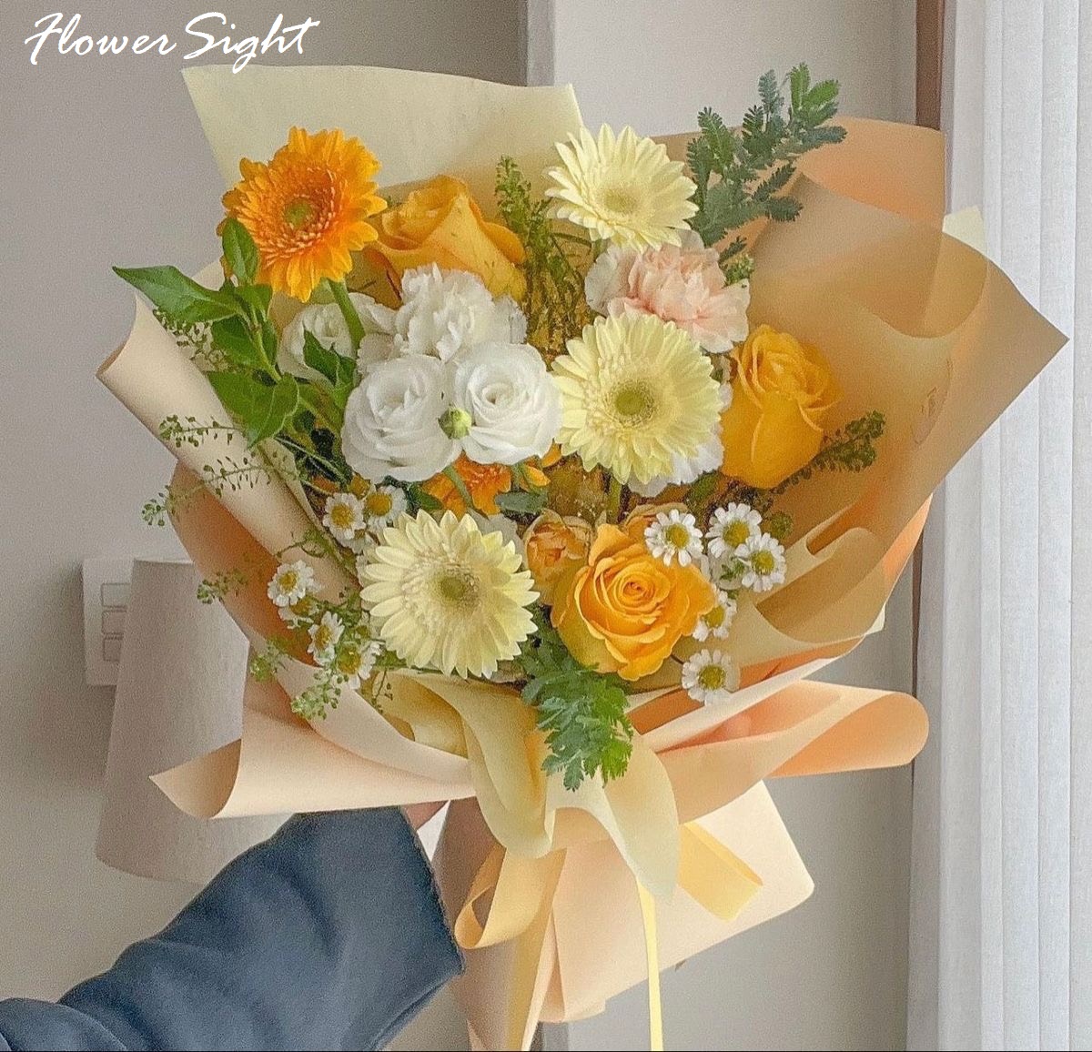 Bó hoa đồng tiền