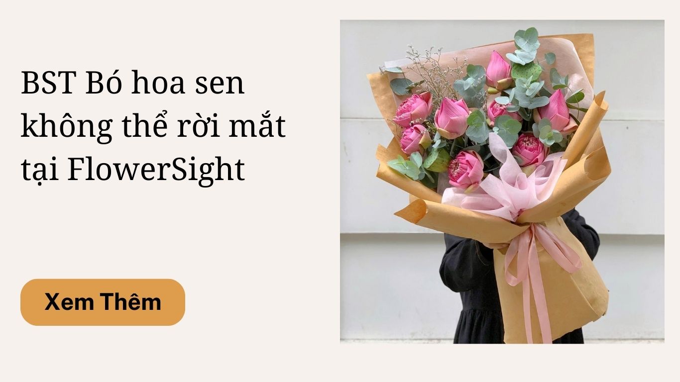 Bó hoa sen tặng sinh nhật