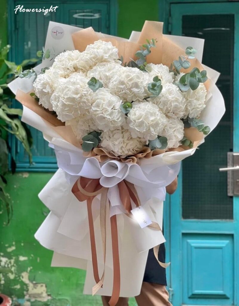 hoa cẩm tú cầu mang ý nghĩa buồn