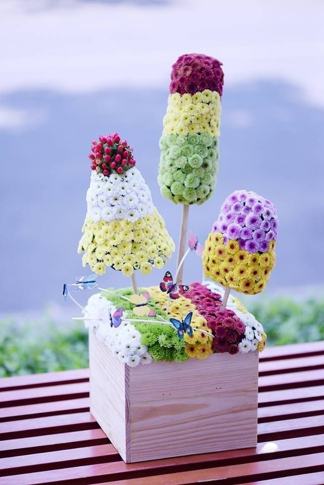 cắm hoa cúc calimero