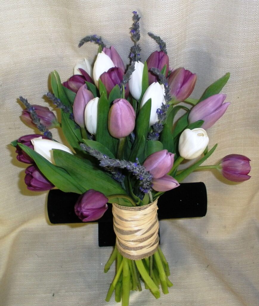 Hoa tulip tím biểu tượng của hoàng gia, đầy quyền lực, sang trọng