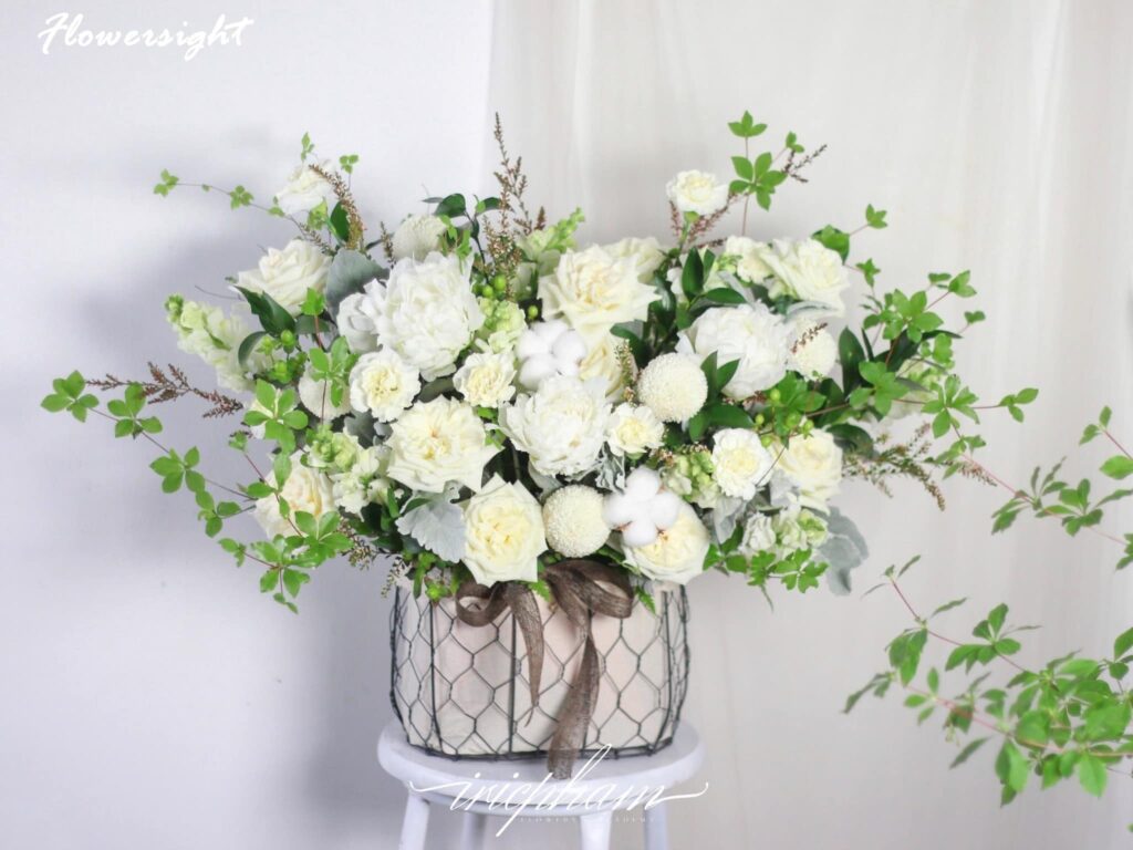 hoa hồng trắng chi buồn