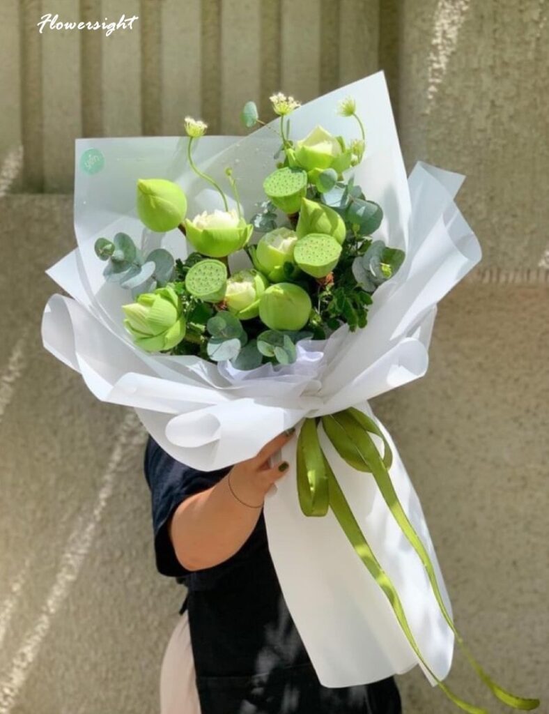 hoa sen - quốc hoa Việt Nam