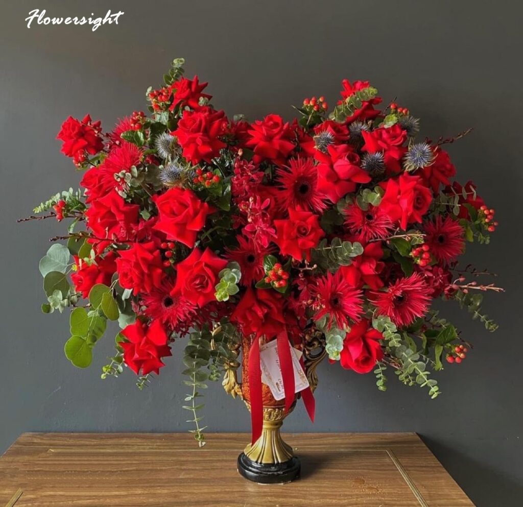 ý nghĩa hoa đồng tiền đỏ