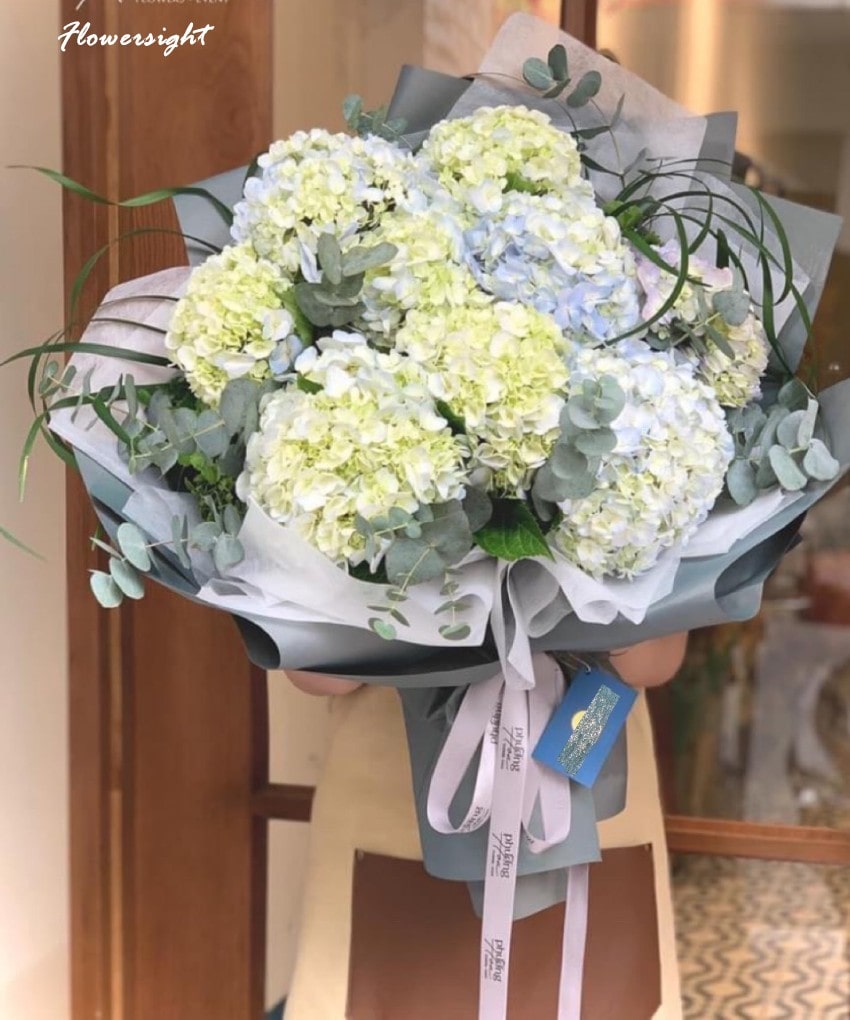 Cẩm tú cầu mang các ý nghĩa khác nhau ở mỗi quốc gia