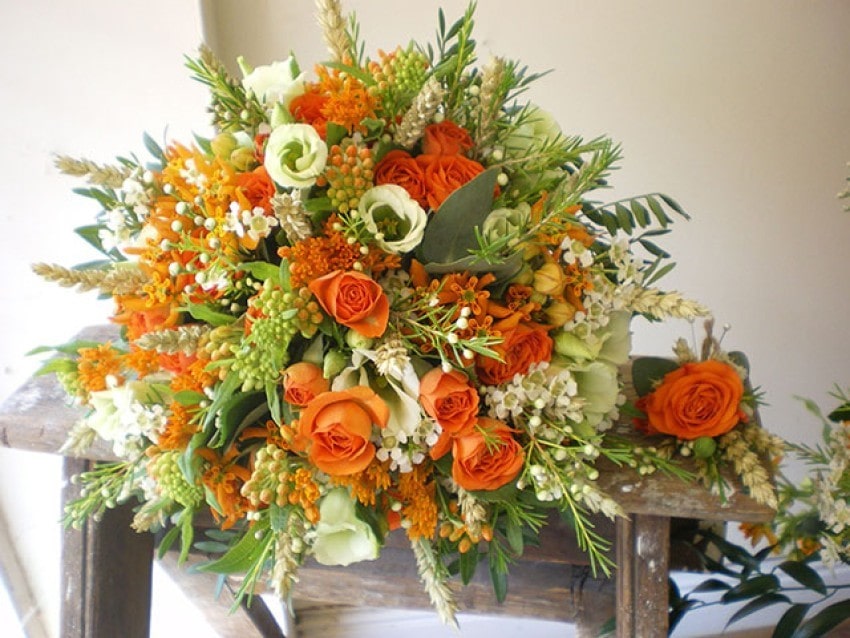 Hoa cát tường có màu cam