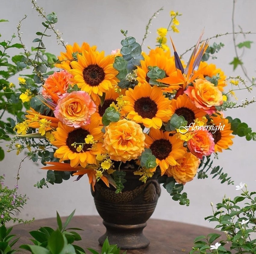 Làm sạch thân và lá sẽ giúp bình bông tránh thân bị nhiễm khuẩn