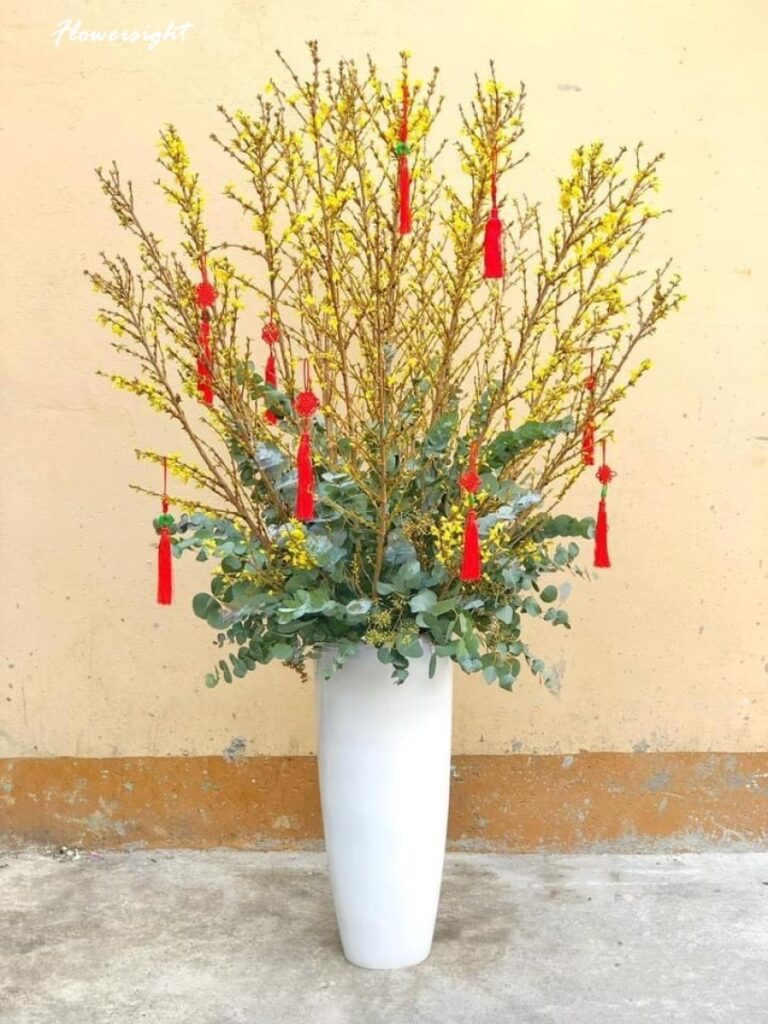 Mẫu hoa mai Mỹ đẹp