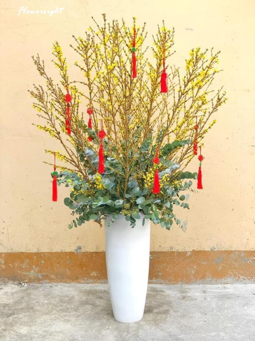 Mẫu hoa mai Mỹ đẹp