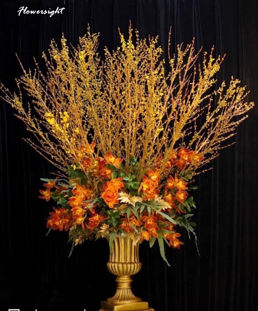 ý nghĩa hoa mai mỹ