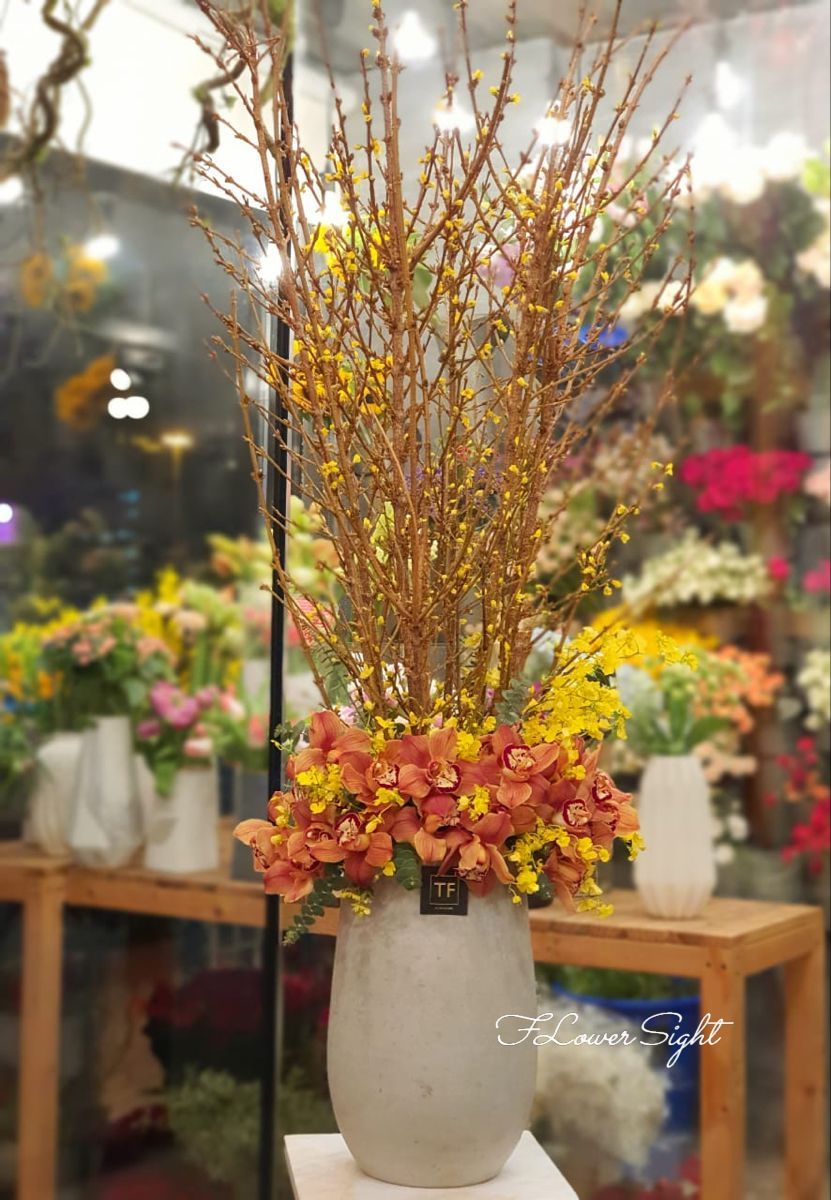 Bình hoa mai mỹ đẹp