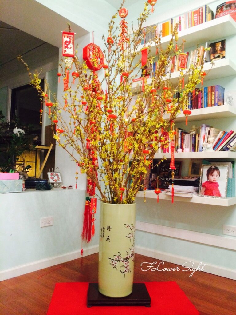 Bình hoa mai mỹ ngày tết