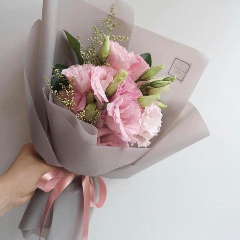 hoa cát tường hồng tại FlowerSight